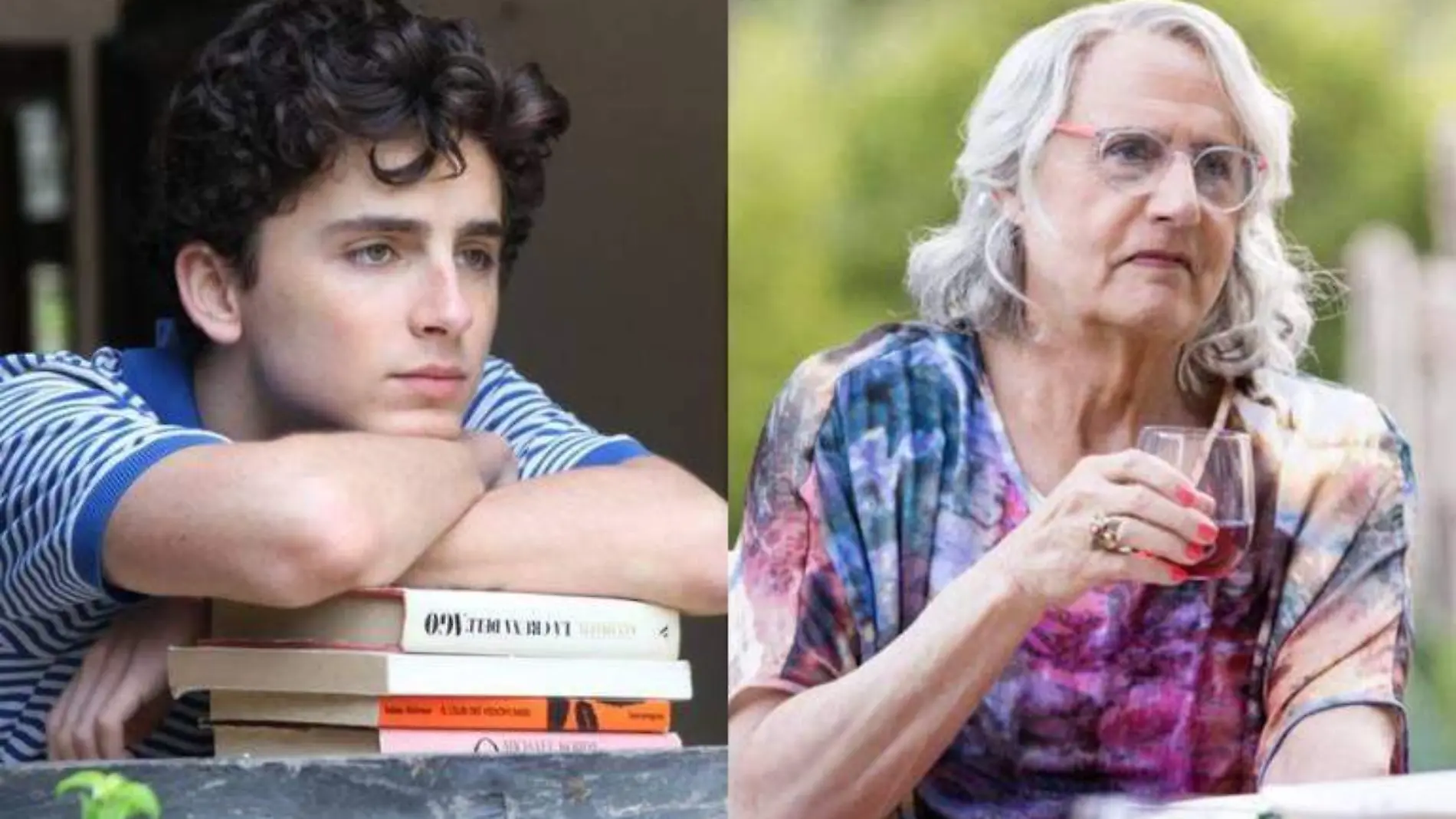 Transparent y Call me By Your Name con películas que han sido aclamadas por el público, no sólo LGBT